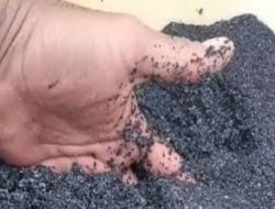 Penampung Timah Ilegal Di Lubuk Besar Yang Masih Eksis