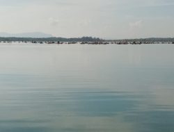 Tambang Ilegal Di  Perairan Laut Ulim Menjadi Ancaman Serius  Untuk Ekosistem Laut