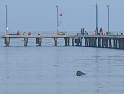 Dermaga Pulau Kuil  Di Selat Nasik Yang Tenggelam Jika Musim Angin Barat,  Biaya Rehabilitasi Sudah Habiskan Miliaran Rupiah