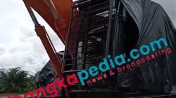 Jejak Ekskavator  Yang Bersembunyi Di Kebun Sawit  Dusun B1 Kecamatan Lubuk Besar, DN Disebut-sebut Sebagai Pemiliknya