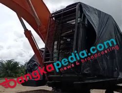 Jejak Ekskavator  Yang Bersembunyi Di Kebun Sawit  Dusun B1 Kecamatan Lubuk Besar, DN Disebut-sebut Sebagai Pemiliknya
